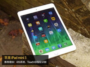 平板市場步入新格局 從娛樂工具邁向輕度生產(chǎn)力中心